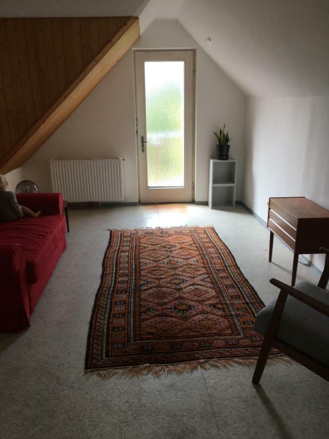 Apartment Anka バート・イシュル エクステリア 写真